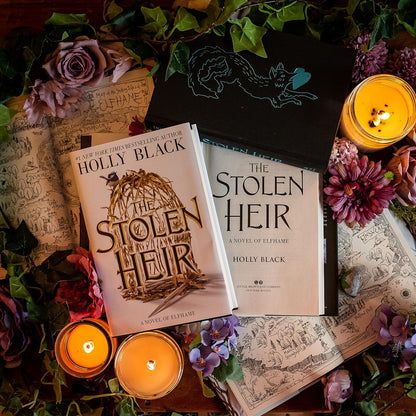 The Stolen Heir: A Novel of Elfhame (Volume 1) (The Stolen Heir, 1) Holly Black - Hardcover