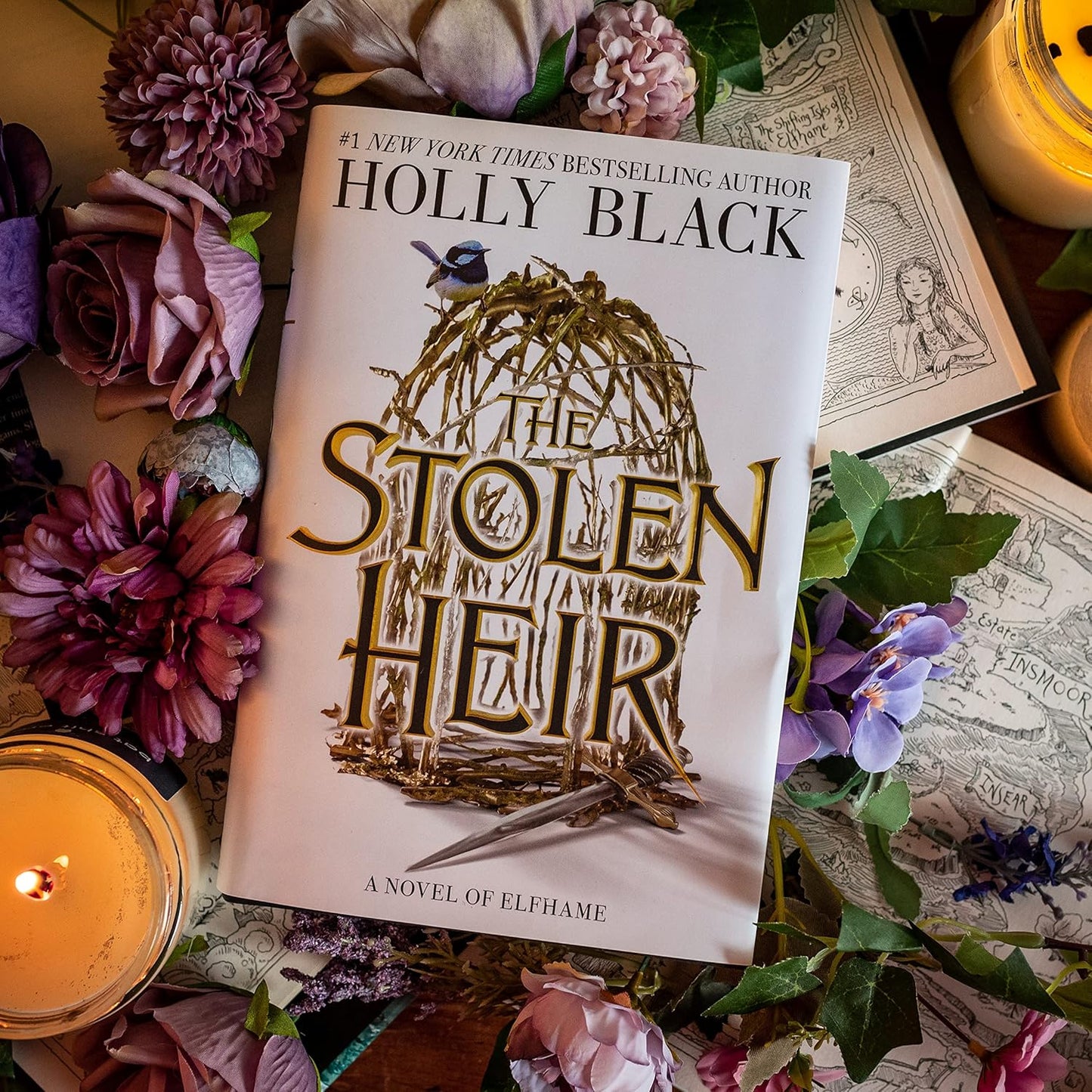 The Stolen Heir: A Novel of Elfhame (Volume 1) (The Stolen Heir, 1) Holly Black - Hardcover