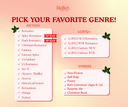 Christmas Holiday Blind date with a Book Box